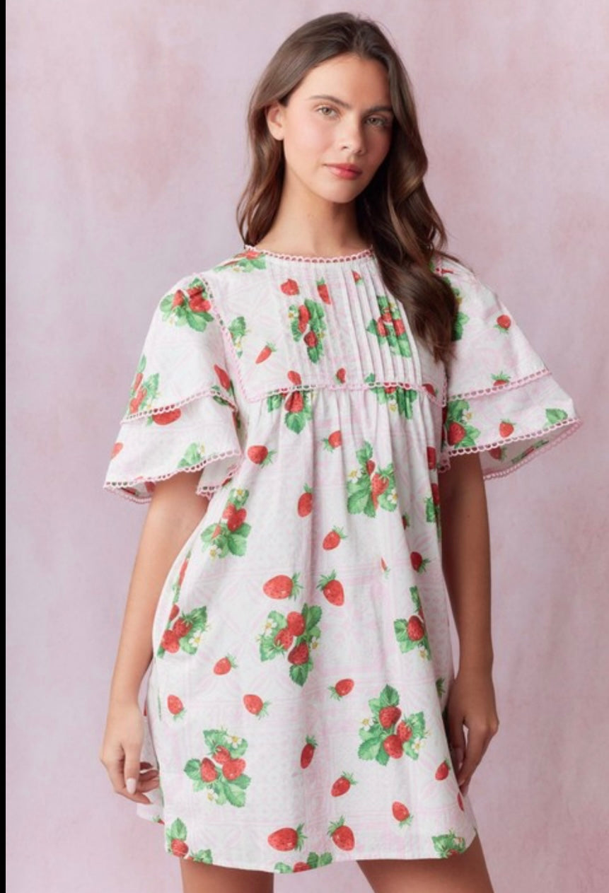 Strawberry Dreams Dress