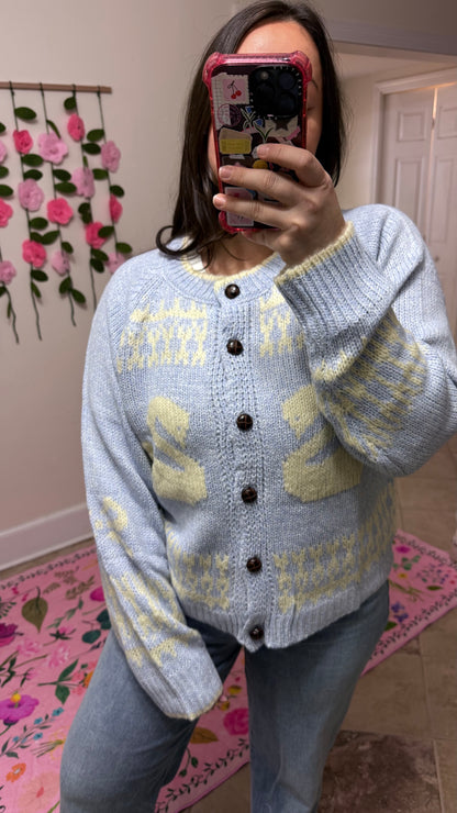 Swan Lake Knit Cardigan Sweater – Blue