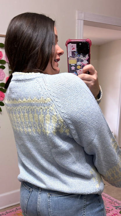 Swan Lake Knit Cardigan Sweater – Blue