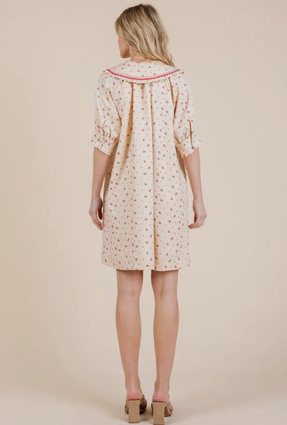 Strawberry Sundae Mini Dress