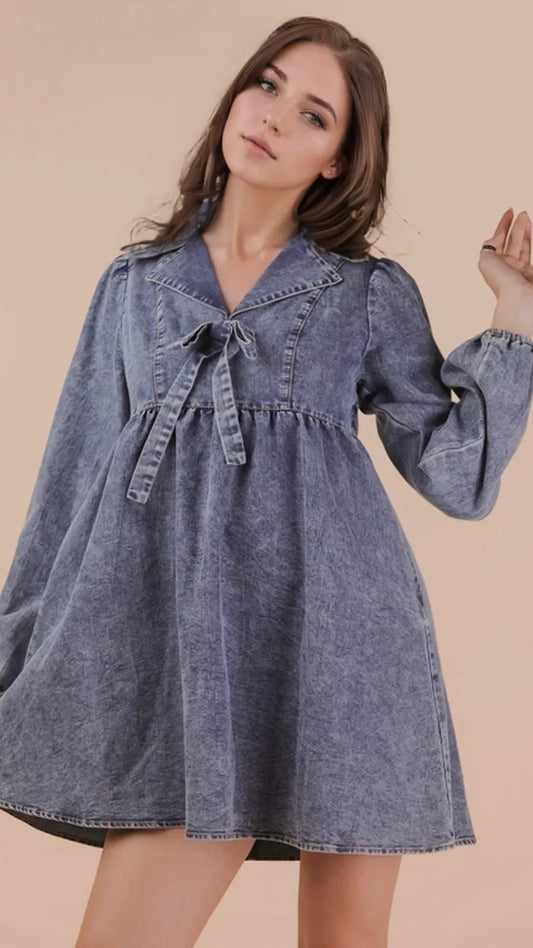Chambray Mini Dress